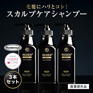 【公式】 REDEN メディカルスカルプシャンプー 3本セット リデン 薬用シャンプー 医薬部外品 スカルプケア スカルプシャンプー リデンシル配合 メンズ 男性用 シャンプー 頭皮 洗浄 ケア 汗臭