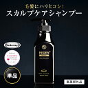 【公式】 REDEN メディカルスカルプシャンプー 1本〜 リデン 薬用シャンプー 医薬部外品 スカルプケア スカルプシャンプー リデンシル メンズ 男性用 シャンプー 頭皮 洗浄 ケア 汗臭対策 配合 ふけ ボリュームアップ 薄毛ケア 抜け毛予防