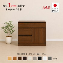 楽天市場】キャビネット（注文方法オーダー）の通販