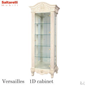 T^b FTC 1hA Lrlbg K̔X NVbN KX V[P[X AC{[ T^ AeB[N _ xTC  킢 Cgt I  