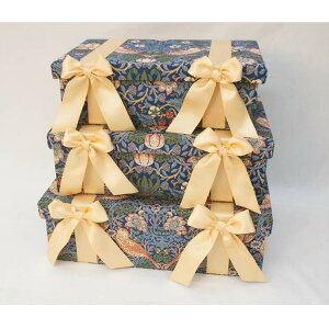 WFjt@[eC[ {bNX3_Zbg Strawberry ThiefEBAX {bNX P[X Zbg t@ubN _ GKg CeA fBXvC Vbv  킢 