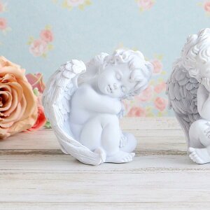 Vg̒u GWFzCg GWF G[ tFA[ [Y o GKg IuWF CeA fBXvC Vbv  킢 Vg d u KN  A