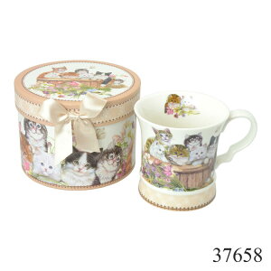 CA[f Mtg{bNX }OJbv[Y o }O Zbg JtF Rbv R[q[Jbv vg R[q[ MtgZbg v[g  킢 Ԃ H q