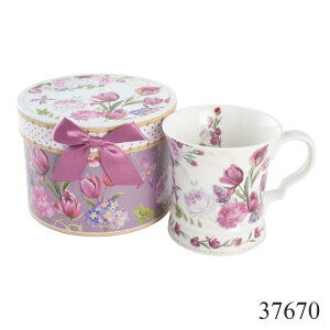 CA[f Mtg{bNX }OJbv[Y o }O Zbg JtF Rbv R[q[Jbv vg R[q[ MtgZbg v[g  킢 Ԃ H q