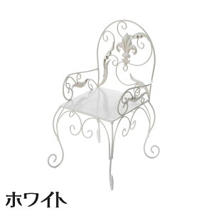 ACA v^[X^h 2FIACA t[X^h x_ oRj[ K[f AeB[N Vv zCg CeA fBXvC Vbv  킢