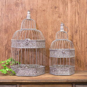 ACA o[hP[W 召2Zbg t`O[ Zp`^CvACA AeB[N Vr[ t` fBXvC CeA I[ig wLTS O[ 킢 