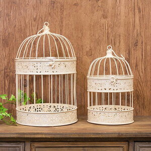 ACA o[hP[W 召2Zbg AeB[NzCg Eh^CvACA AeB[N Vr[ t` fBXvC CeA I[ig zCg 킢 