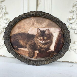 A[gt[ Lbg A^CvAeB[N NVbN lR A[g Vr[ Vr[VbN pl EH[pl fR[V CeA IuWF Vbv v[g Mtg 