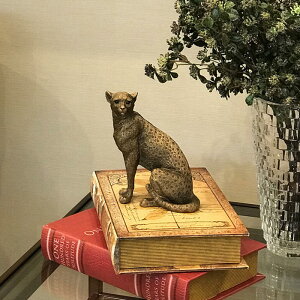 Aj}IuWF pT[AeB[N _ CeA IuWF I[ig Mtg v[g fBXvC Vbv  킢  u   k RE85309