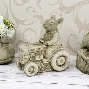 �C���O���b�V���K�[�f�� ���r�b�g�h���C�u�C�M���X�� �K�[�f�� �A���e�B�[�N �E�T�M �C���e���A �I�u�W�F �I�[�i�����g �v���[���g �f�B�X�v���C �V���b�v ������� ���킢�� ������ �� ��