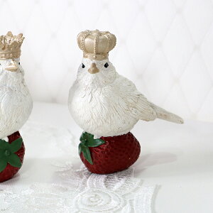 Xgx[ o[hIuWF 2IAeB[N NVbN o[h IuWF v[g Mtg fBXvC CeA Vbv  킢  u   k AG