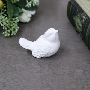 }`hG ZeBbhfR }[L[YA}Xg[ A}v[g tX Vr[ Vr[VbN AeB[N IuWF v[g Mtg fBXvC CeA Vbv