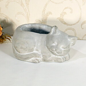 Zg Lbgv^[ MTCYK[f v^[ |bg AeB[N CeA lR v[g fBXvC Vbv  킢    L ԕr k AGRE