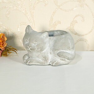 Zg Lbgv^[ STCYK[f v^[ |bg AeB[N CeA lR v[g fBXvC Vbv  킢    L ԕr k AGRE