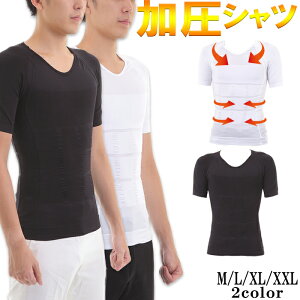 Vc g[jO w؋ TVc Y Ci[    RvbVCi[ Jy ptH[}X wre