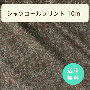 VcR[vg10m  J[L yCY[@{ madeinjapan Vc uEX s[X CeA Jo[ l q  obO |[` d˒  nbs[obO