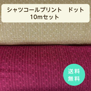 VcR[vg10mZbg  Cbh }X^[h { madeinjapan Vc uEX s[X CeA Jo[ l q  obO |[` d˒  nb