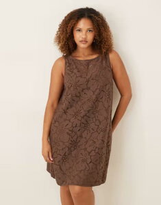 �G�C�\�X ���f�B�[�X �g�b�v�X �����s�[�X �~�j ���[�X ASOS Curve ASOS DESIGN Curve lace mini shift dress in chocolate �`���R���[�g