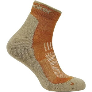 �A�C�X�u���[�J�[ �����Y �A���_�[�E�F�A �C�� �~�j Icebreaker Merino Hike+ Light Mini Sock - Men's Trail/Flagstone