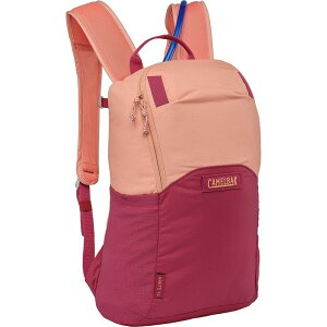 �P�C�����o�b�N �����Y �o�b�O �o�b�N�p�b�N�E�����b�N�T�b�N CamelBak Arete 14L Hydration Pack Berry/Blush �u���b�V��