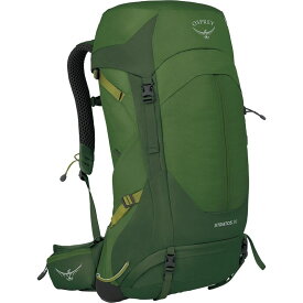 【送料無料】 オスプレーパック メンズ バックパック・リュックサック バッグ Stratos 36L Backpack Seaweed/Matcha Green