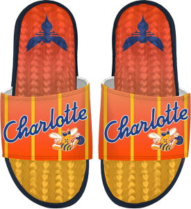 �A�C�X���C�h ���f�B�[�X �V���[�Y �T���_�� ISlide Adult 2025-26 City Edition Charlotte Hornets Gel Slide Sandals NoColor