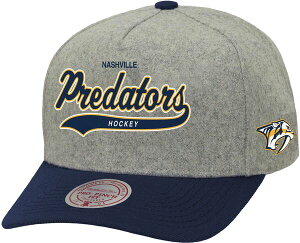 �~�b�`�F��&�l�X �����Y �A�N�Z�T���[ �X�q Mitchell & Ness Men's Nashville Predators Grey Tailsweep Snapback Hat NoColor �O���[