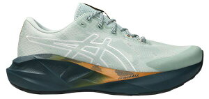 �A�V�b�N�X �����Y �V���[�Y �X�j�[�J�[ ASICS Men's NOVABLAST 5 Running Shoes Nature/Lichen Rock