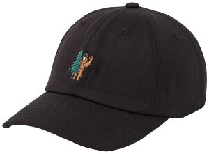 �e���c���[ ���f�B�[�X �A�N�Z�T���[ �X�q tentree Sasquatch Peak Hat Meteorite Black/Tree �u���b�N