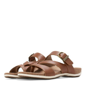 C[Xgh fB[X V[Y T_ Tan Eastland 1955 Edition Bar Harbor