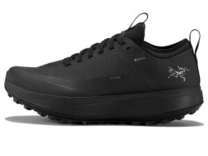 �A�[�N�e���N�X ���f�B�[�X �V���[�Y �X�j�[�J�[ Arc'teryx Sylan GTX Black/Black 1 �u���b�N