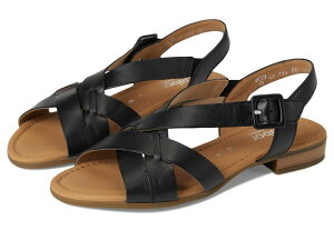 K{[ fB[X V[Y q[ Schwarz Gabor 62.794