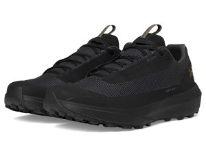 A[NeNX Y V[Y Xj[J[ Arc'teryx Norvan LD 4 GTX Black/Black 2 ubN