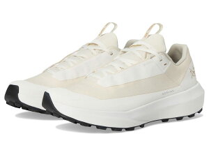 A[NeNX fB[X V[Y Xj[J[ SAebNX Arc'teryx Norvan LD 4 GTX Arctic Silk/Arc