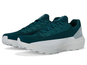 �A�[�N�e���N�X �����Y �V���[�Y �u�[�c�E���C���u�[�c Arc'teryx Norvan LD 4 Nightscape/Soli