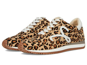 xl fB[X V[Y Xj[J[ Vaneli Queen Camel Dino/Whit L