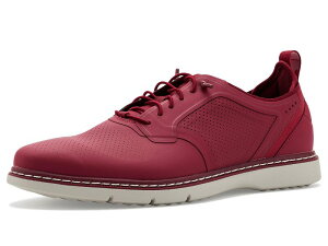 �X�e�C�V�[�A�_���X �����Y �V���[�Y �I�b�N�X�t�H�[�h ���[�X Stacy Adamsynchro Elastic Lace Oxford Raspberry