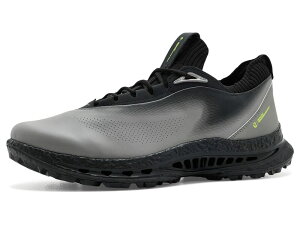 �G�R�[ �����Y �V���[�Y �X�j�[�J�[ ���[�X Ecco Golf BIOM C5 Lace GORE-TEXR Waterproof Steel/Steel