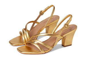 xih fB[X V[Y fbLV[Y Bernardo Naples Gold S[h