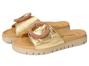 K{[ fB[X V[Y T_ Gold Gabor 63.745