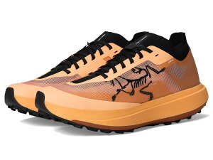 A[NeNX Y V[Y Xj[J[ Arc'teryx Sylan Pro Luminary/Luminary