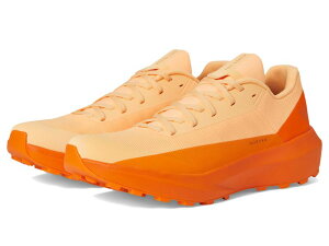 �A�[�N�e���N�X ���f�B�[�X �V���[�Y �X�j�[�J�[ Arc'teryx Norvan LD 4 Luminary/Verve