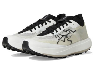 �A�[�N�e���N�X �����Y �V���[�Y �X�j�[�J�[ Arc'teryx Sylan Pro Arctic Silk/Arctic Silk