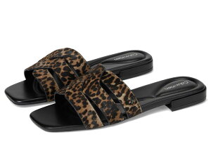 �J���o���N���C�� ���f�B�[�X �V���[�Y �T���_�� Calvin Klein Tishaly Dark Naturaleopard Multi �}���`�J���[