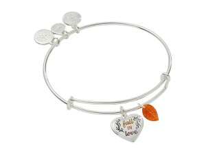 �A���b�N�X�A���h�A�j ���f�B�[�X �A�N�Z�T���[ �s�A�X�E�C�������O Alex and Ani Fall in Love Duo Charm Bracelet Shiny Silver �V���o�[