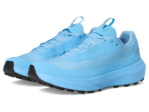 �A�[�N�e���N�X ���f�B�[�X �V���[�Y �X�j�[�J�[ Arc'teryx Norvan LD 4 GTX Glacial/Glacial