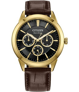 V`Y fB[X ANZT[ rv U[ Citizen Men's Classic Eco Wr100 Chronograph Brown Leather Strap Watch