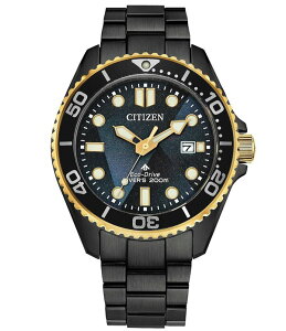 �V�`�Y�� ���f�B�[�X �A�N�Z�T���[ �r���v T�V���c Citizen Men's Promaster Eco-Drive Dive Quartz Three Hand Black Tone Stainlessteel Bracelet Watch Black �u���b�N