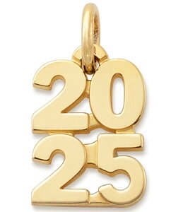 �W�F�[���Y �G�C�����[ ���f�B�[�X �A�N�Z�T���[ �l�b�N���X�E�`���[�J�[�E�y���_���g�g�b�v James Avery Year 2025 Charm 14k Gold �S�[���h
