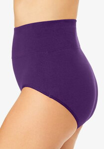 �R���t�H�[�g �`���C�X ���f�B�[�X �A���_�[�E�F�A �p���c �v���X�T�C�Y �R�b�g�� Comfort Choice Plus Size Cotton Spandex Comfort Waist Brief 2-Pack Rich violet �o�C�I���b�g